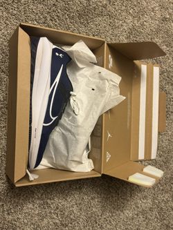 Nike Air Zoom Pegasus 41