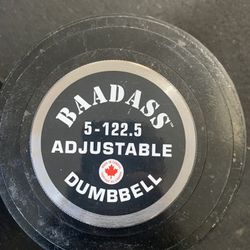 Adjustable Dumbbells 