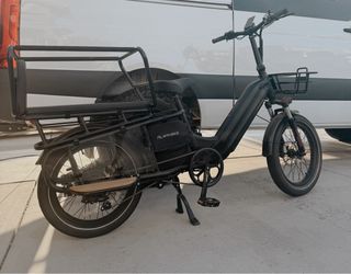 Family Electric Bike
