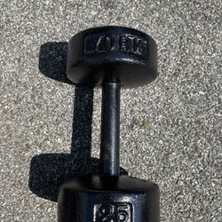 25lbs York Dumbbell 