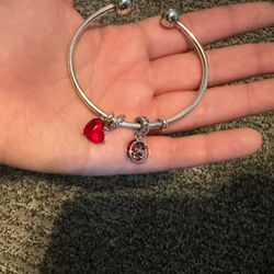 Pandora Charm Bracelet 2x Charms