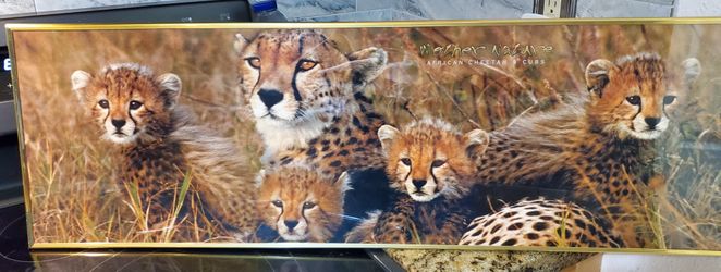 Mother's nature's cheetah and cubs
