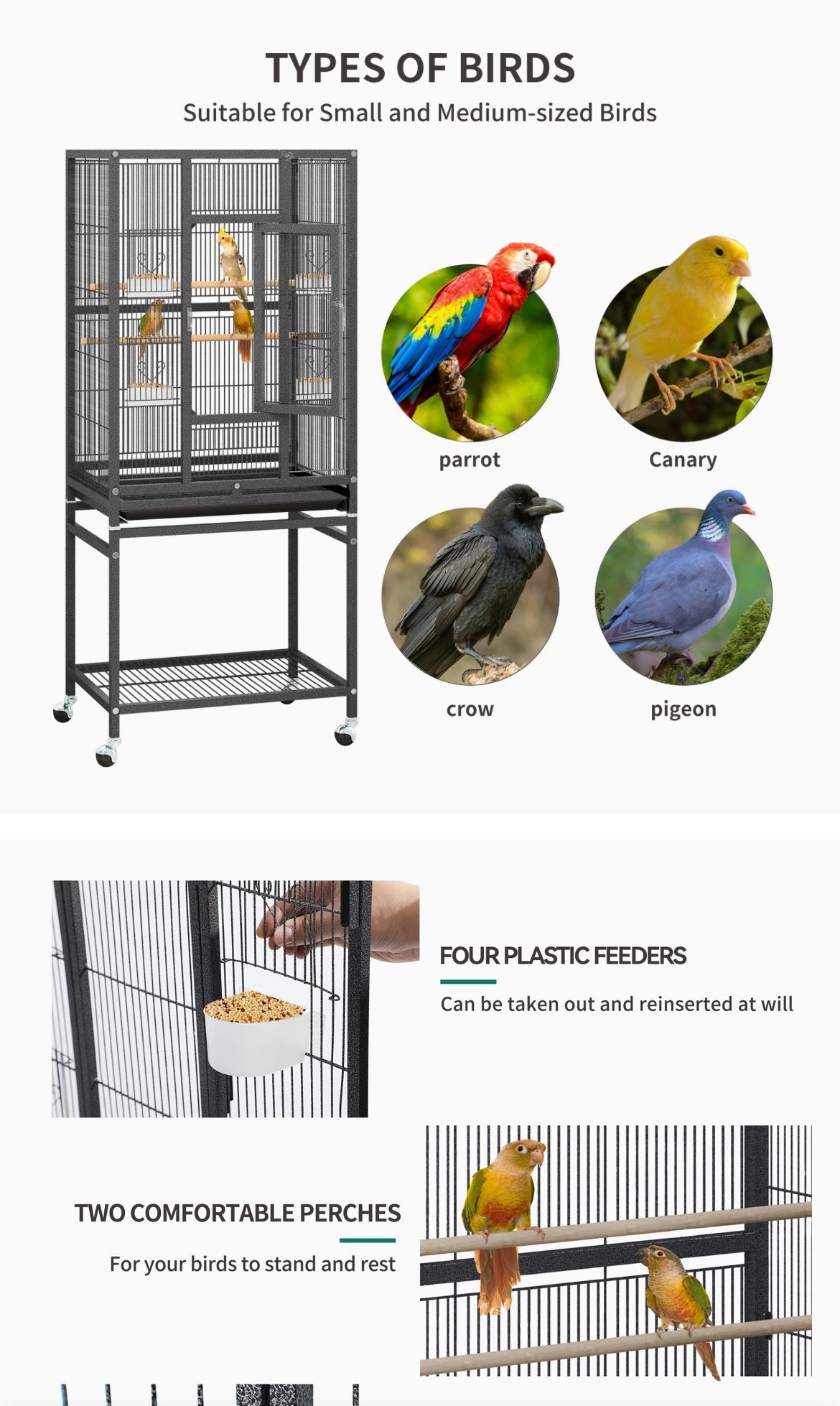 Bird Cage