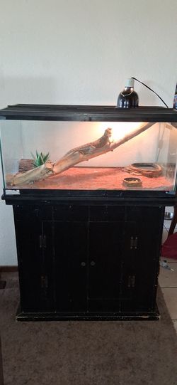 40 gallon aquarium reptile  set up bearded dragon tank