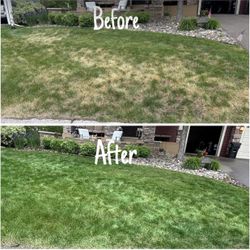 Green Grass Spray