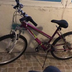 26” Women’s Bike