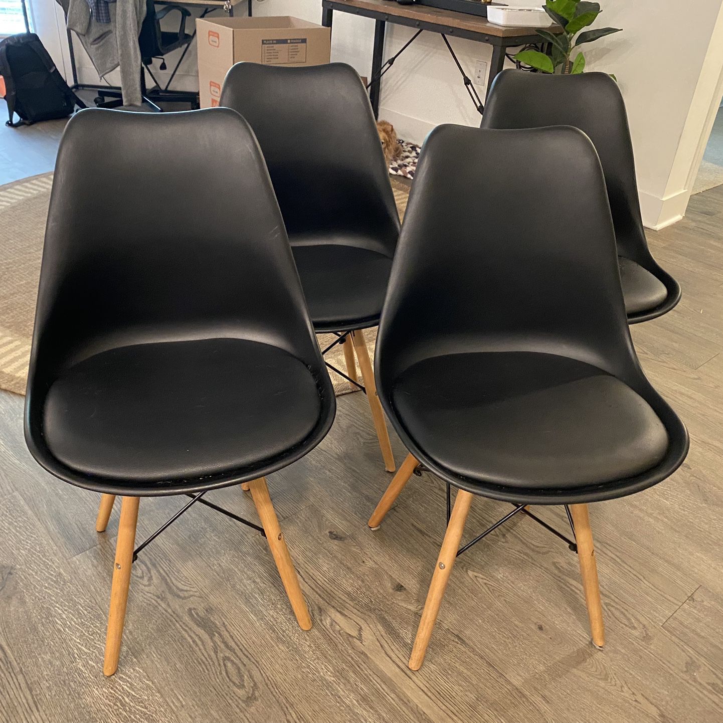 Comfortable Modern Black Chairs 