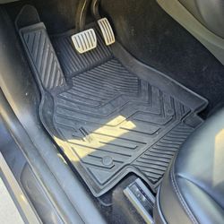 Tesla's all weather mats