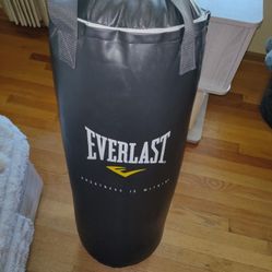 EVERLAST 75lbs Punching bag