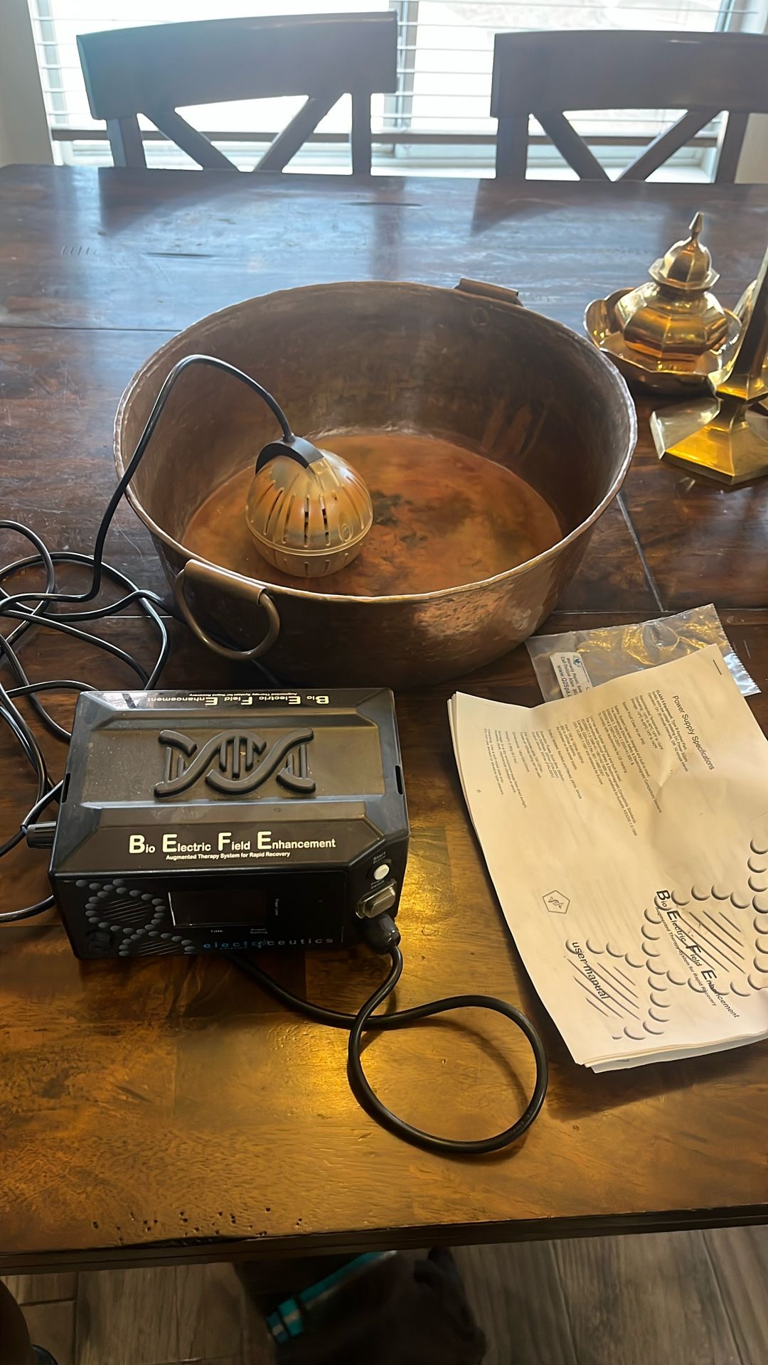 Bio Electric Field Enhancement