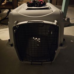 Medium Dog Crate And Shoes