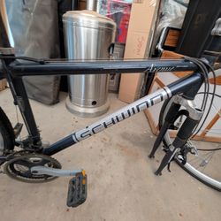 Schwinn Avenue Frame and Tires