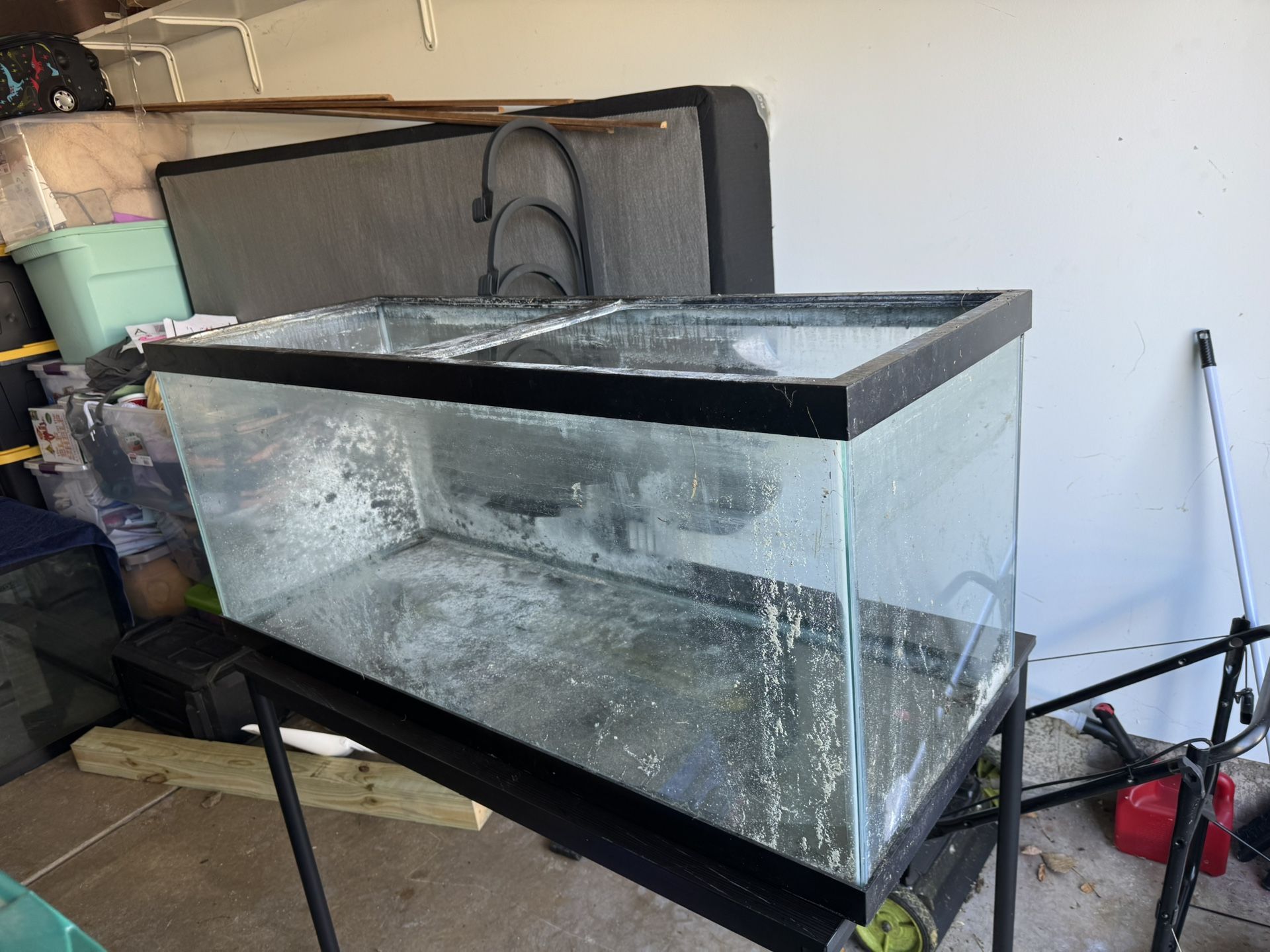 75 Gallon Fish Tank