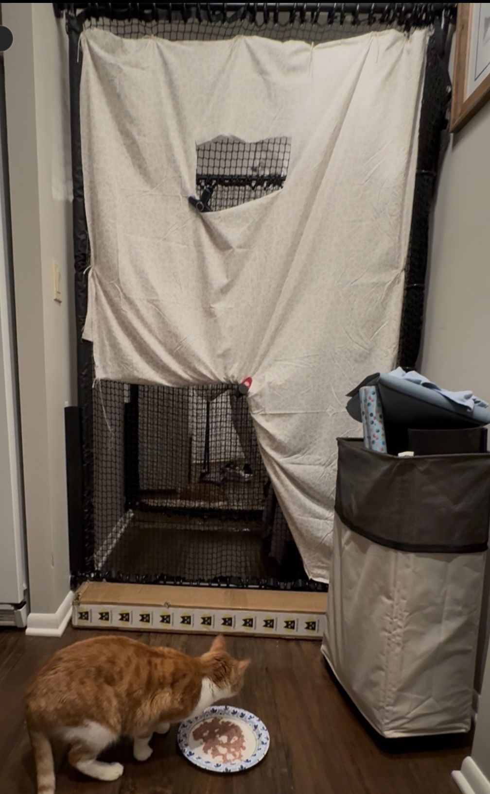 Two Mesh Cat Gates From MeowSafe