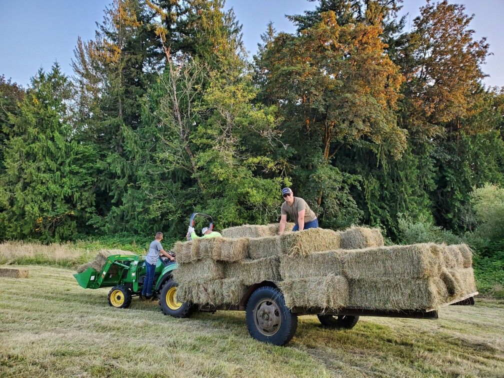 Sweet grass hay!