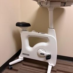 FlexiSpot Exercise Desk