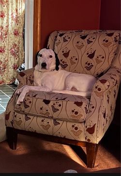 Wingback chair