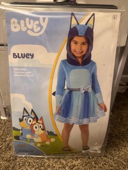 Bluey costume