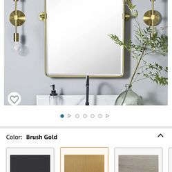 20x24 Brass/ Gold Mirror