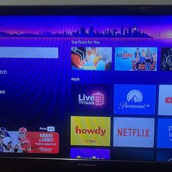 2 TVs, 20 Inch And 44 Inch 