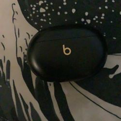 Wireless Beats Studio Earbuds +