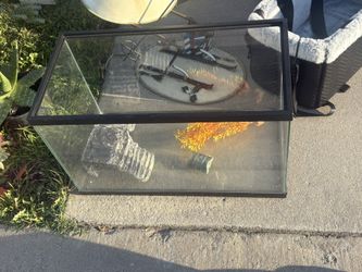 Terrarium