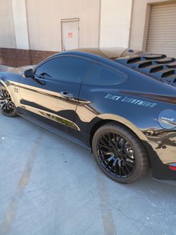 Tints