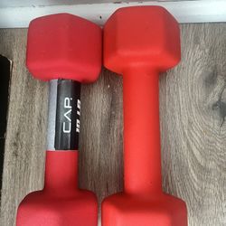 20 Ibs  Weights 