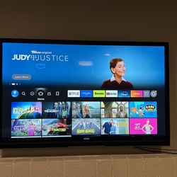 Vizio 42” HD Flat Screen 