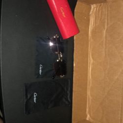 Sunglasses 