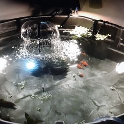 Fish Tank Aquarium Mr.. Fish Rescue Guy