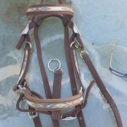 Halter Bridle Combo