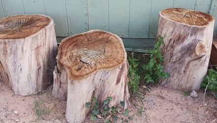 Cottonwood Slab Work