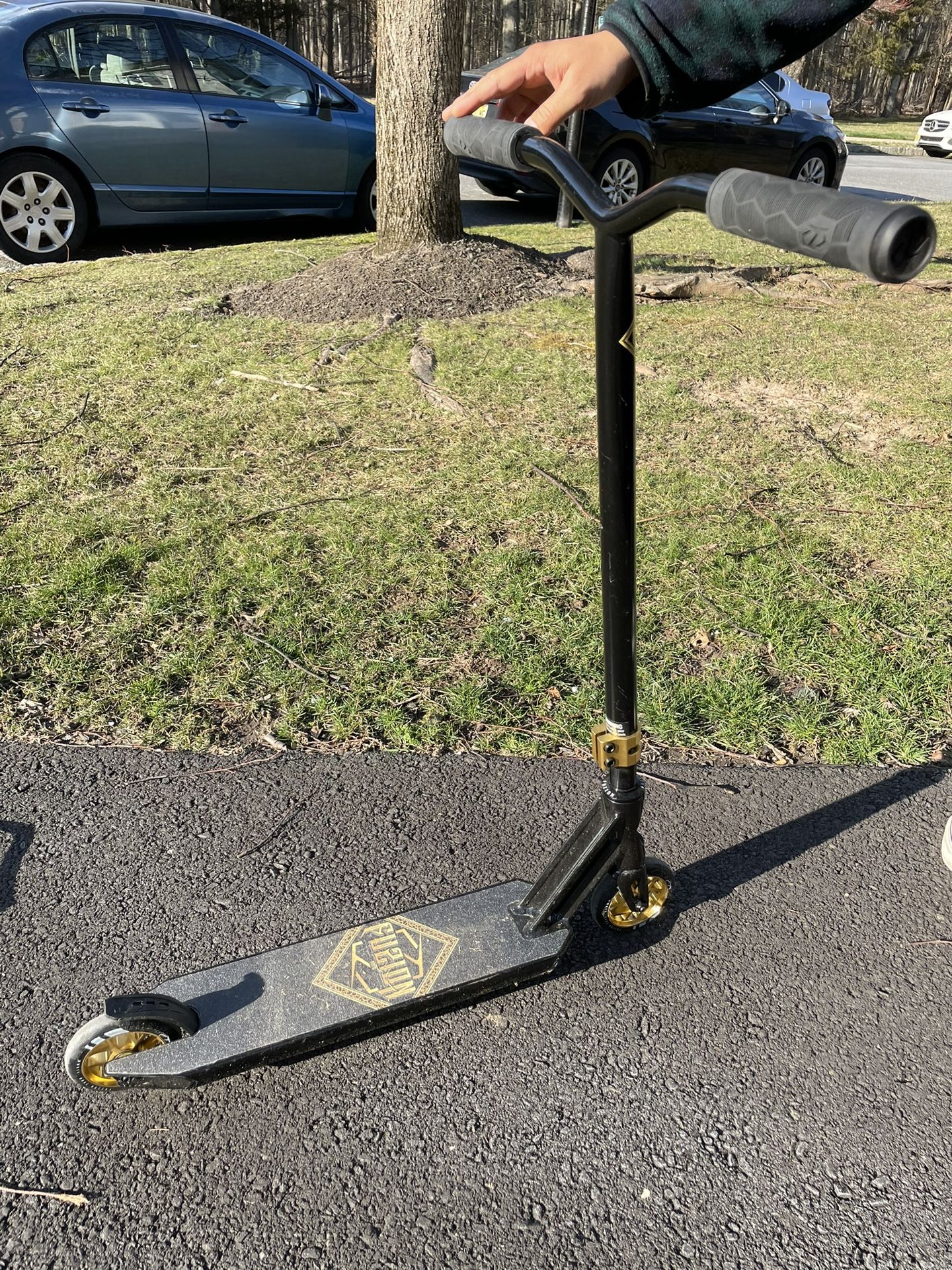 Fuzion Z300 Pro Scooter Complete