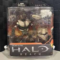 Halo McFarlane