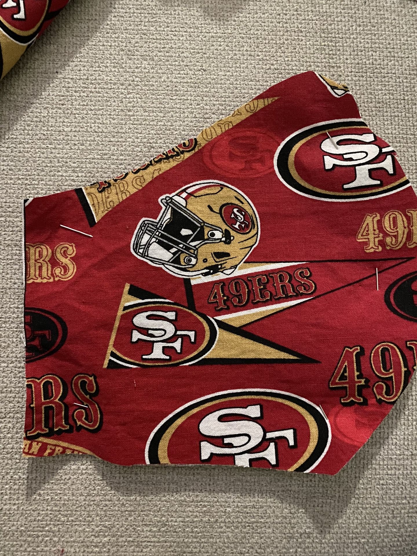 Super Bowl 49ers