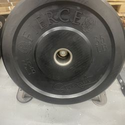 OVERSTOCK SALE! 35LB BUMPER PLATES! $65 EACH! 