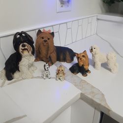 Dog COLLECTION All For $25