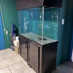 120 Gal Fish Tank 