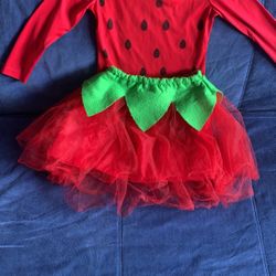 Pottery Barn Halloween Costume 4-6