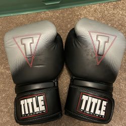 Title Platinum Boxing Gloves (16 oz)