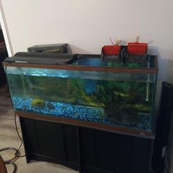50 Gallon Fish tank 