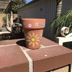 Clay Pot