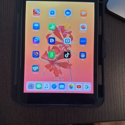 iPad Mini With TikTok Installed