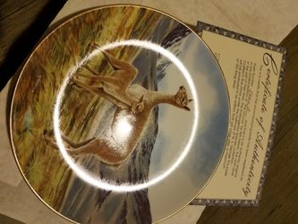 Limited edition collectors plate. The Vicuna