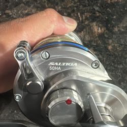 Daiwa Saltiga 50 Ha 