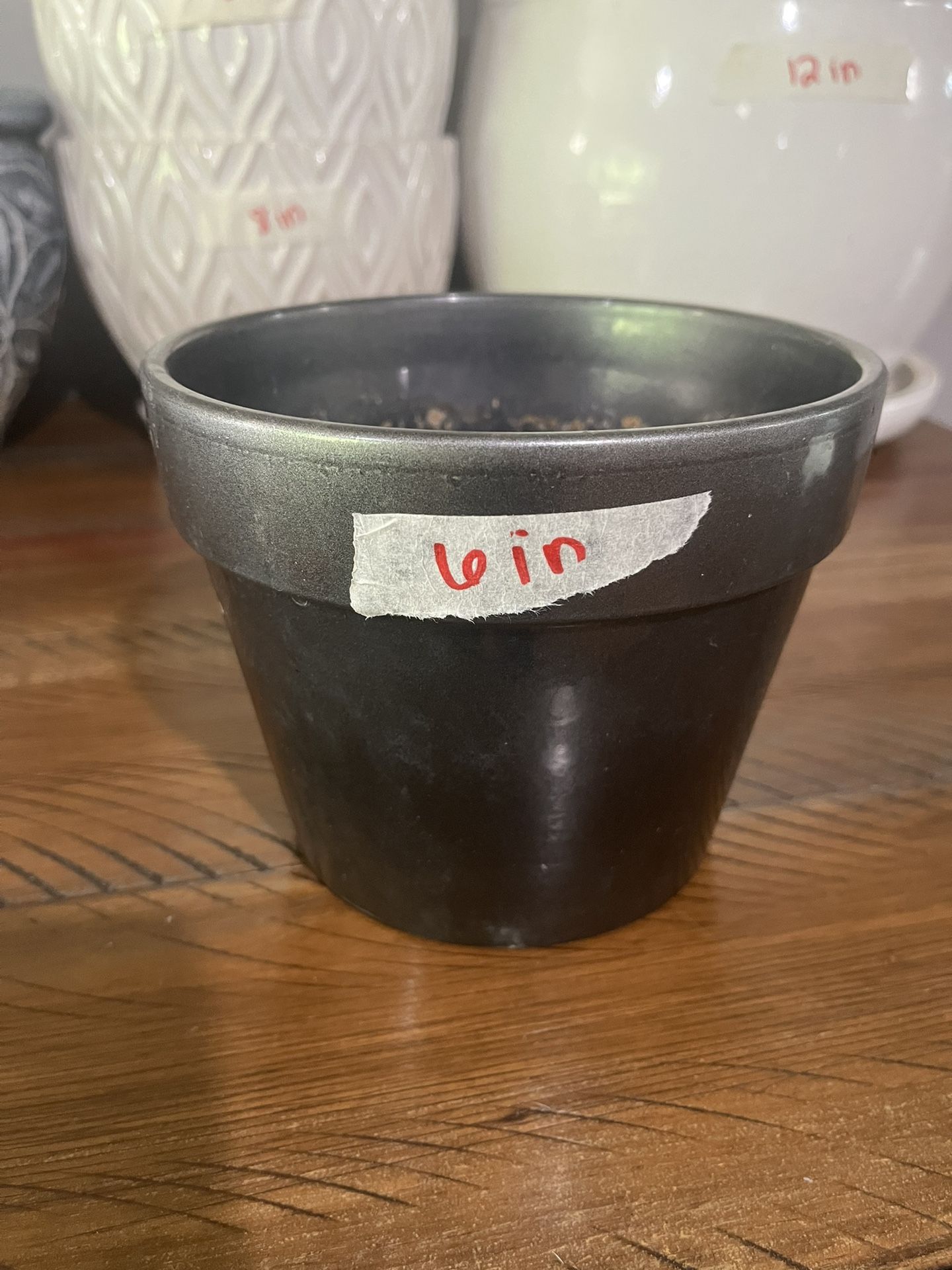 Plant Pot - 6”