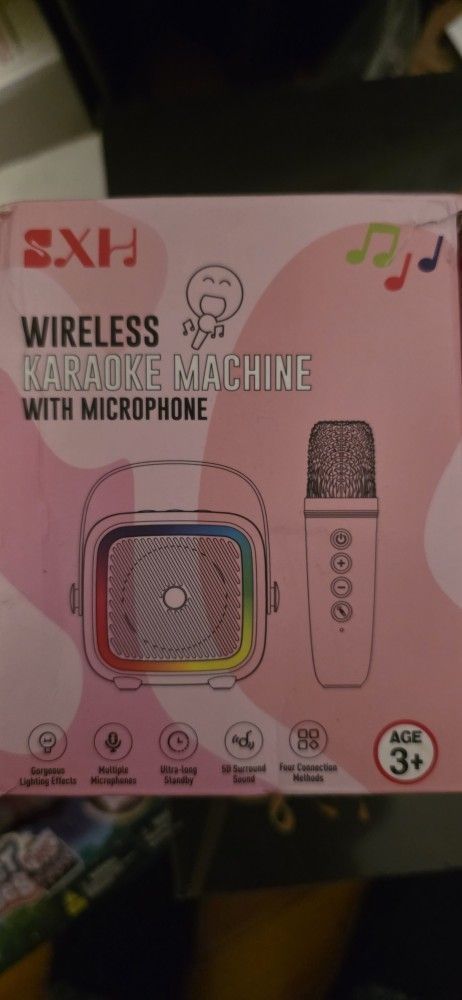 Mini Karaoke Two Microphone