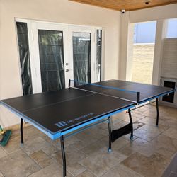 Ping Pong Table