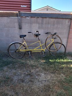 Swine tandem